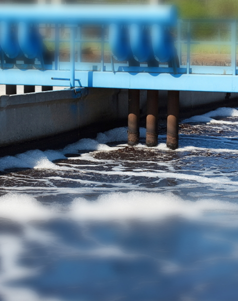 Municipal Sewage